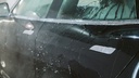 PRE037_proelite-141.jpg