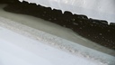 PRE065_proelite-260.jpg