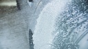PRE006_proelite-360.jpg