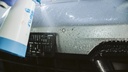 PRE025_proelite-337.jpg