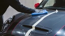 PRE145_proelite-489.jpg
