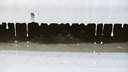 PRE116_proelite-454.jpg