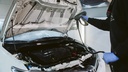 PRE170_proelite-534.jpg