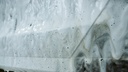 PRE058_proelite-094.jpg